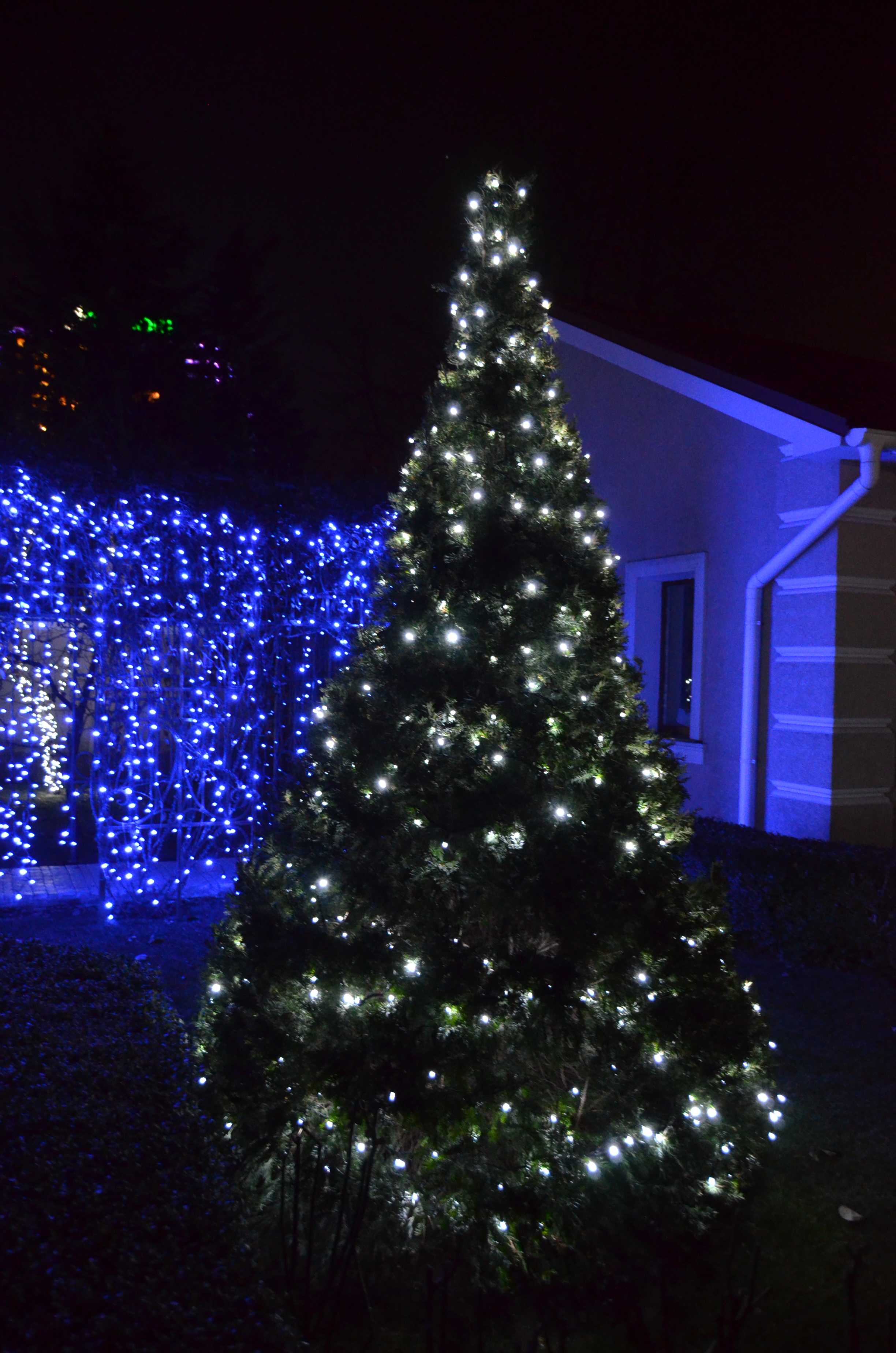 Außenbeleuchtung Bonn – lichtfuergarten.de
