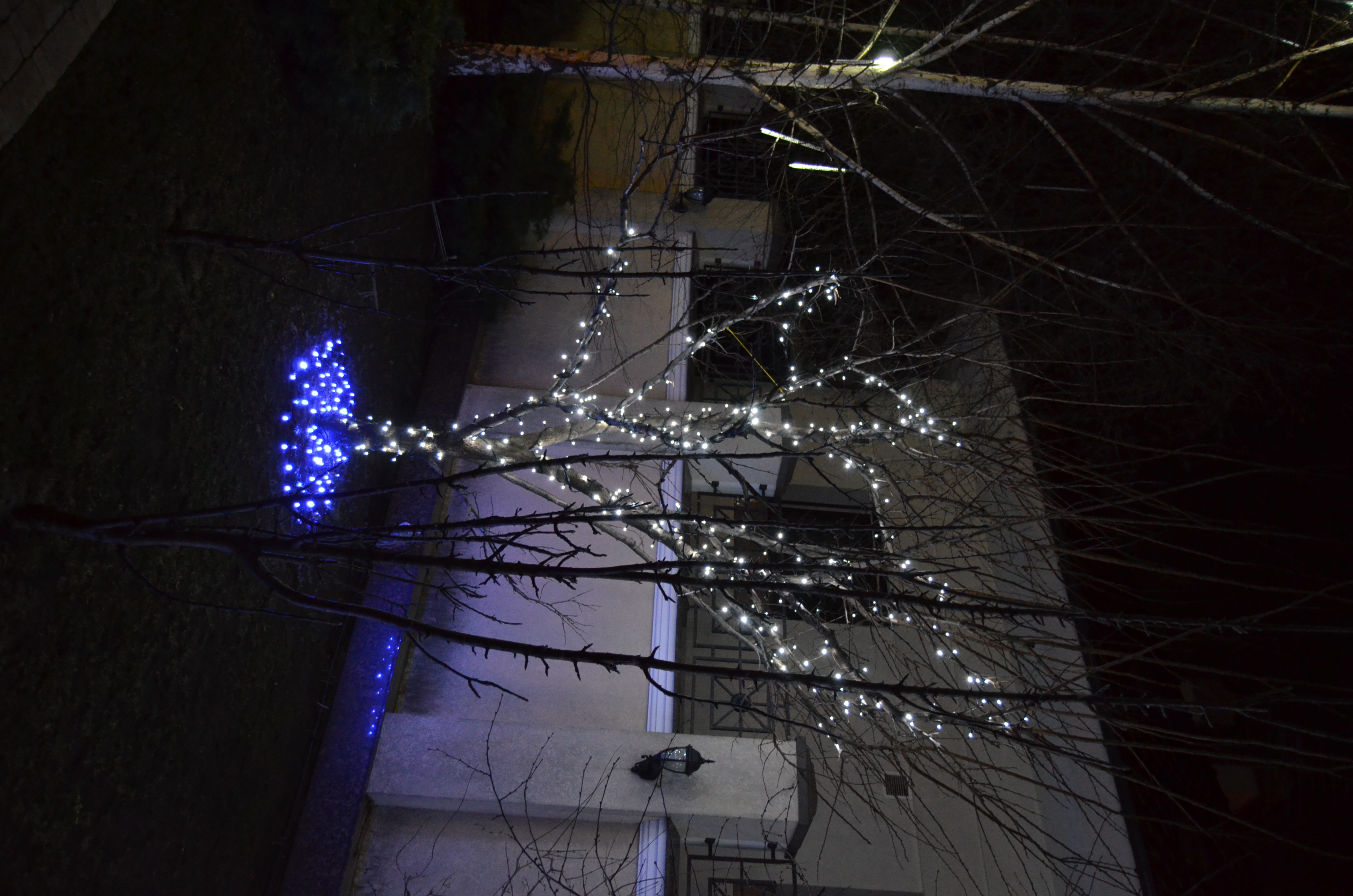 Fassadenbeleuchtung Bonn – lichtfuergarten.de