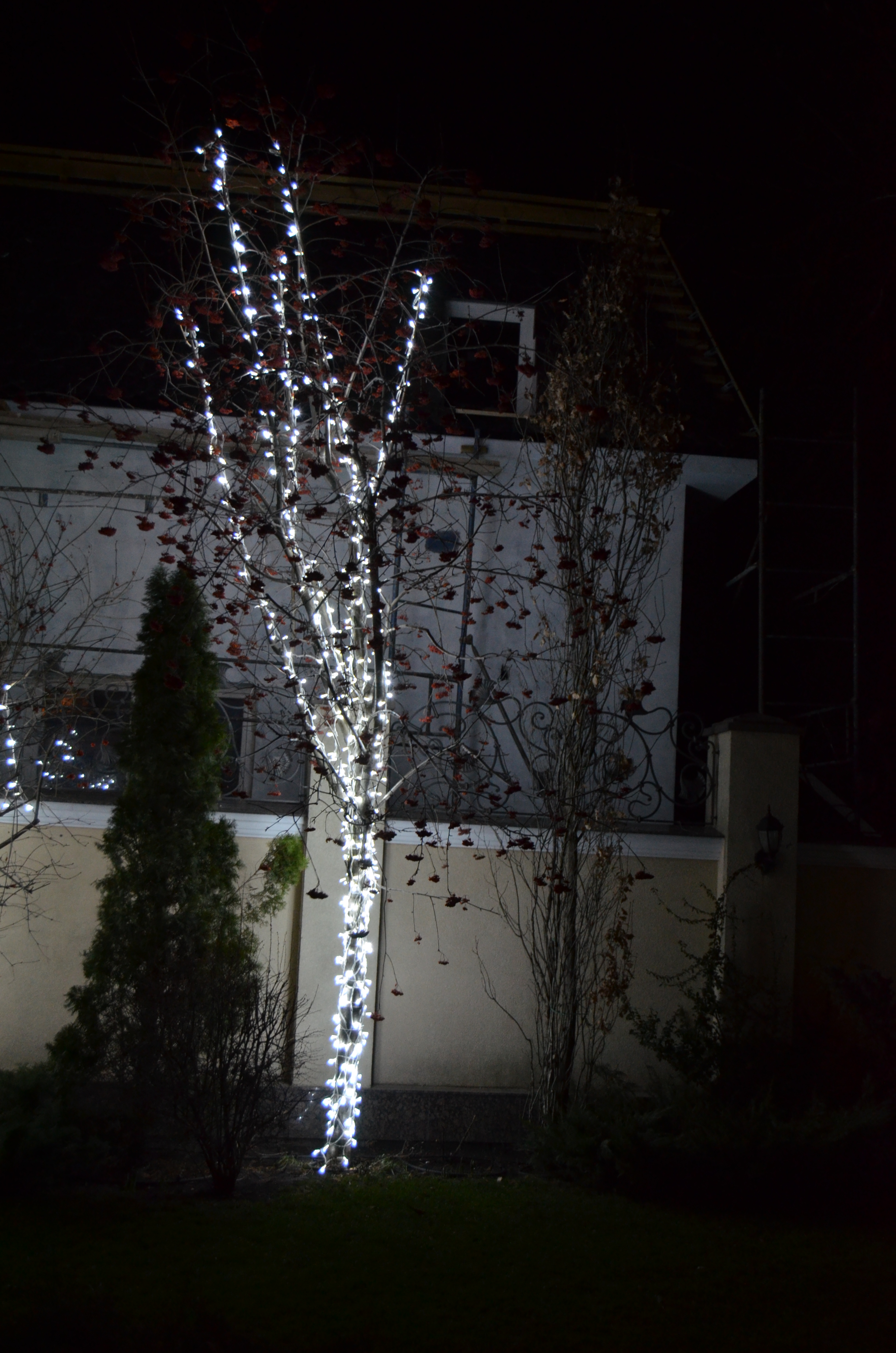 Service & Wartung Bonn – lichtfuergarten.de