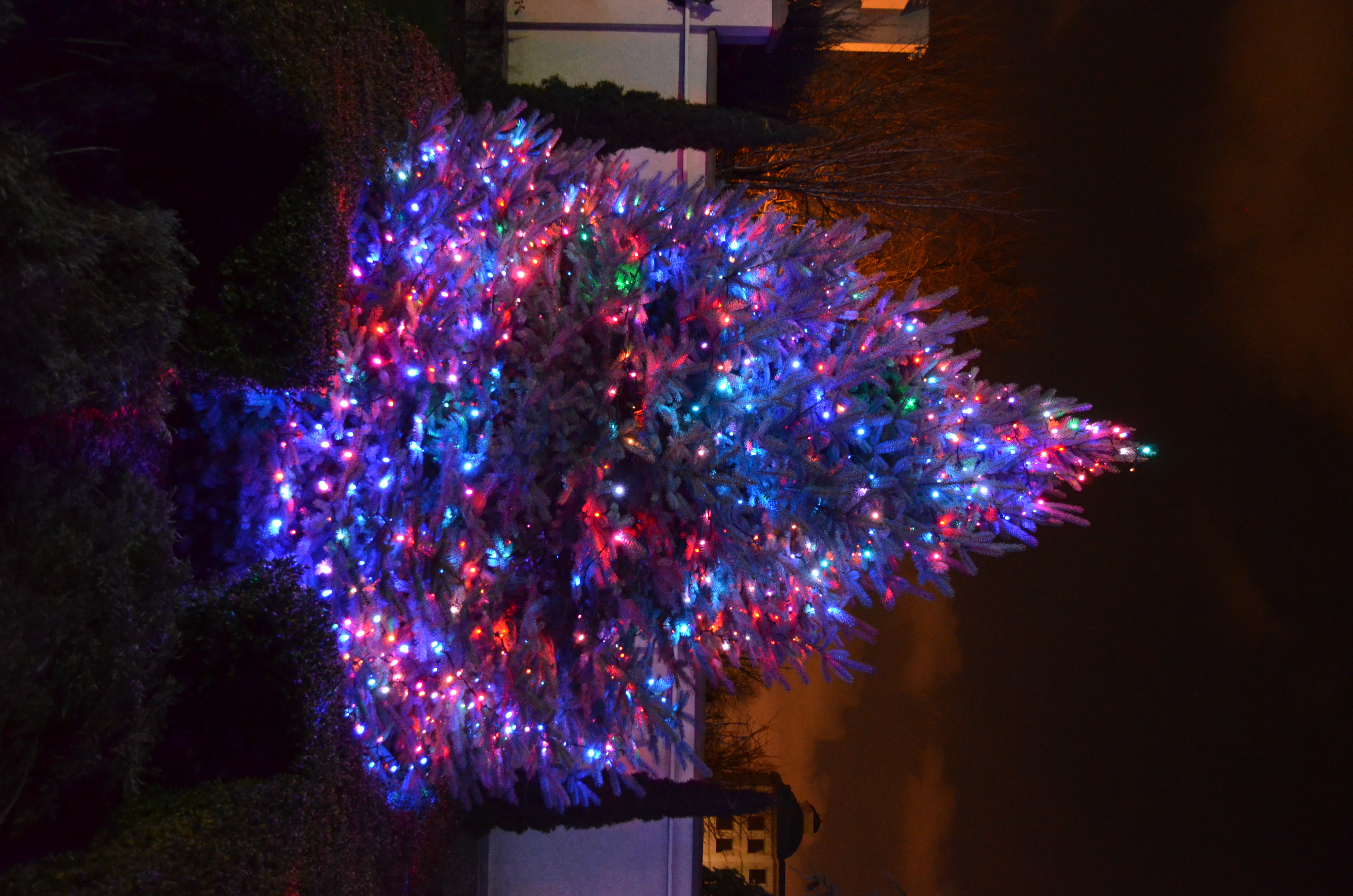 Weihnachtsbeleuchtung Bonn – lichtfuergarten.de