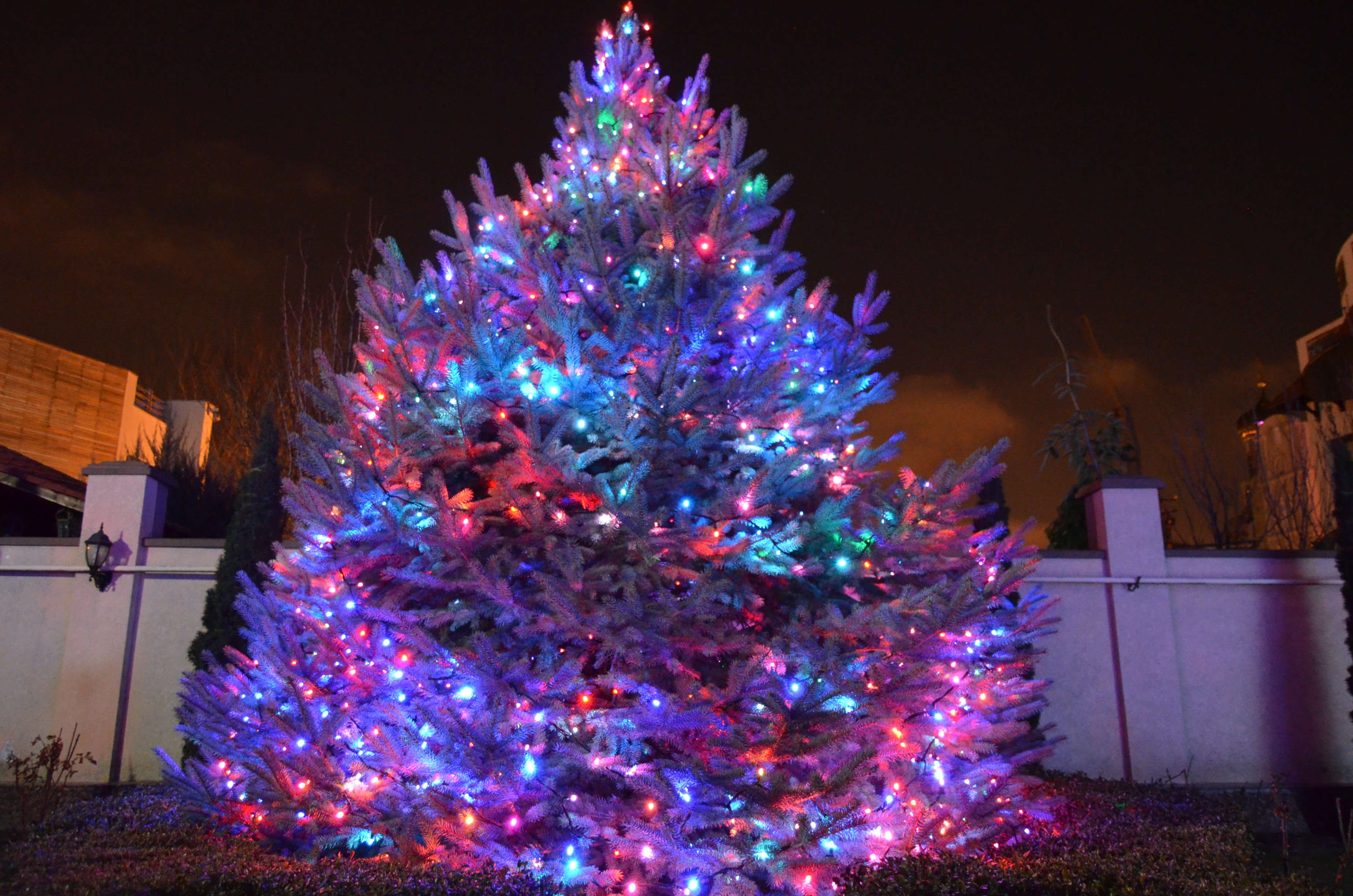 Professionelle Weihnachtsbeleuchtung Bonn – lichtfuergarten.de