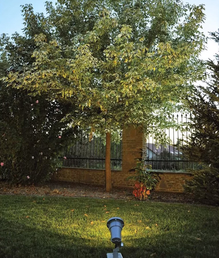 Gartenbeleuchtung Bonn – Festlicht-Bonn | Terrassengestaltung Licht