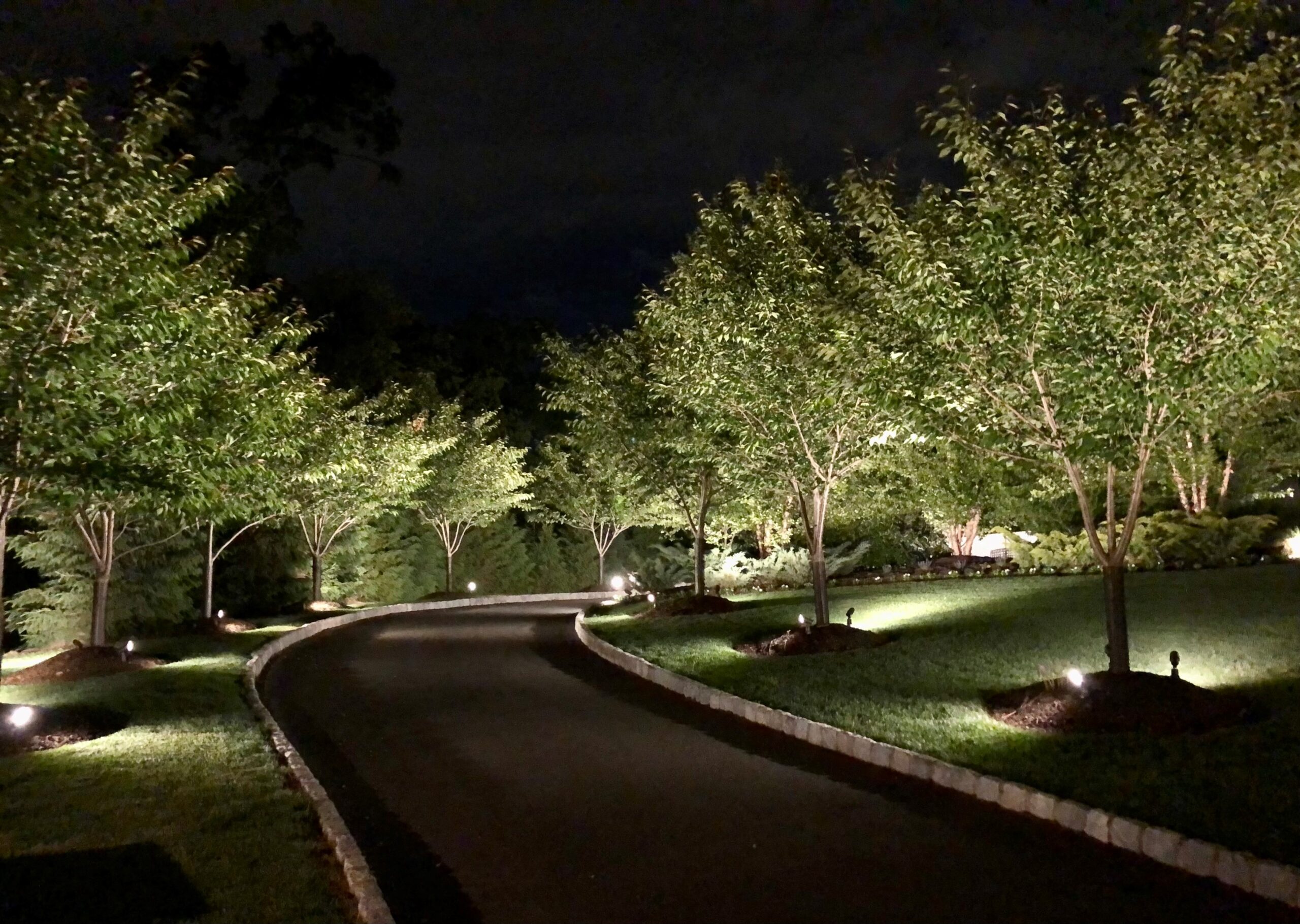 Lichttemperatur Garten: Warmweiß, Neutralweiß oder Tageslicht?